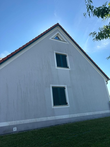 Fassadenreinigung – Wohnhaus Vorher