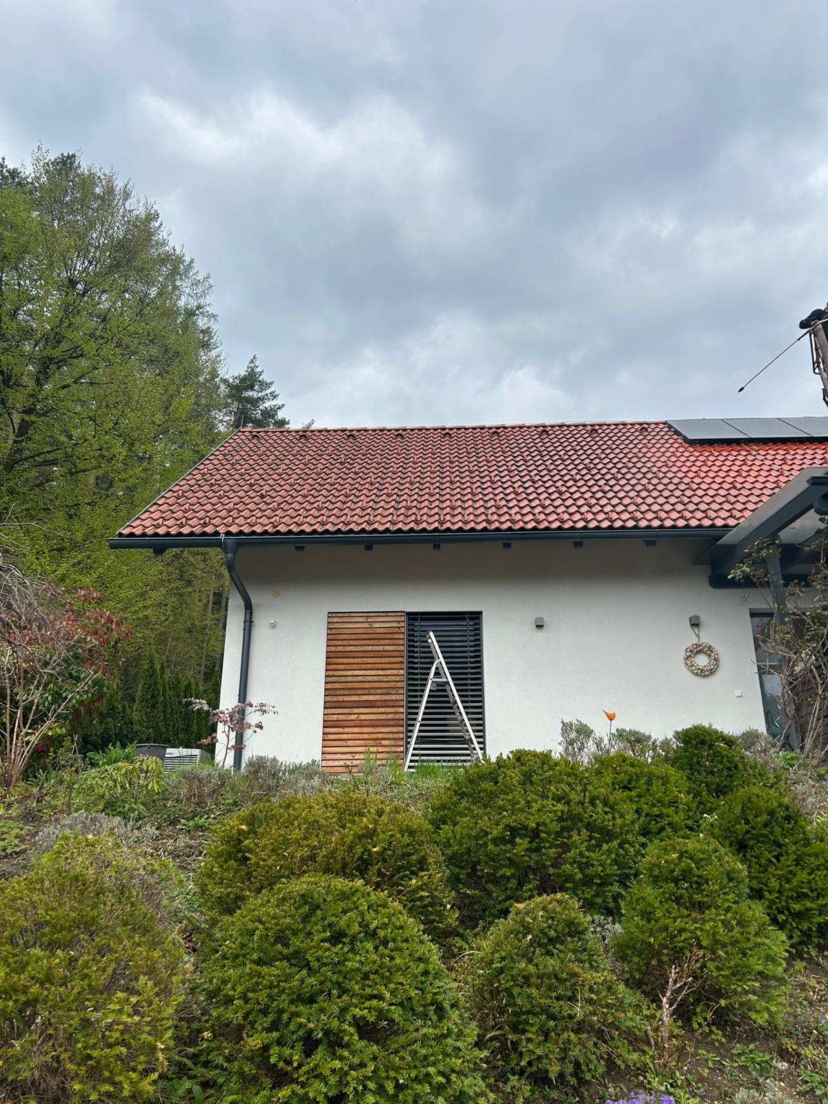 Fassadenreinigung – Einfamilienhaus Vorher