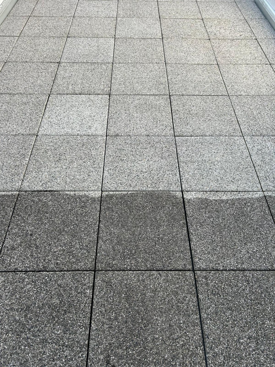 Algenfuchs Referenz – professionelle Reinigung Steiermark