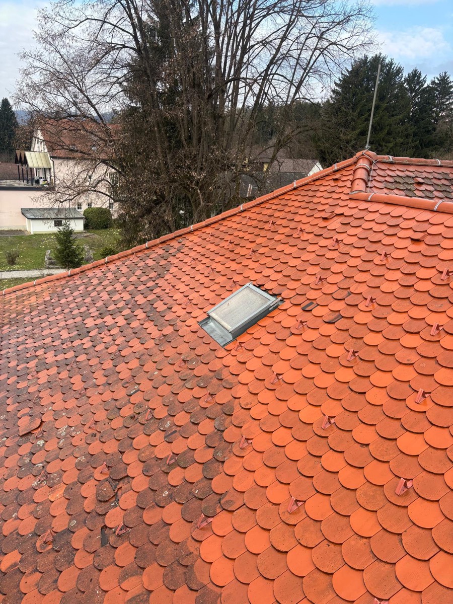 Algenfuchs Referenz – professionelle Reinigung Steiermark