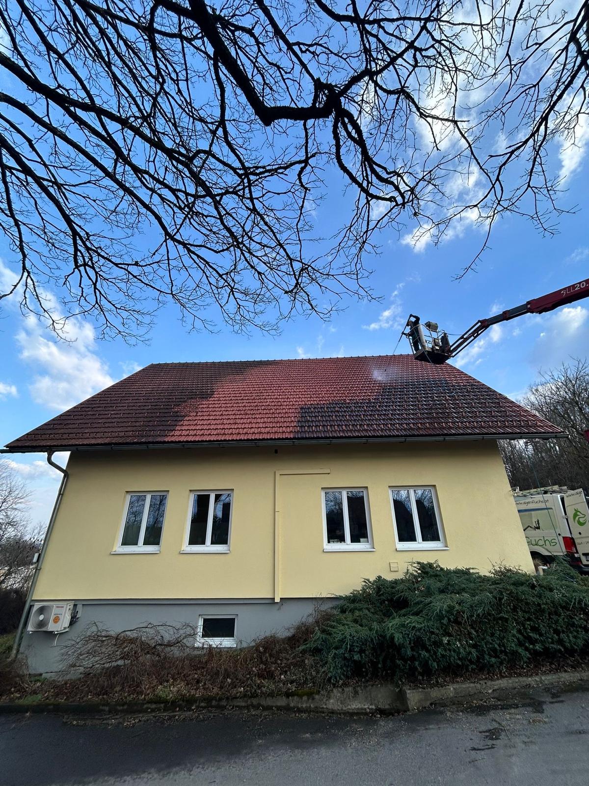 Algenfuchs Referenz – professionelle Reinigung Steiermark