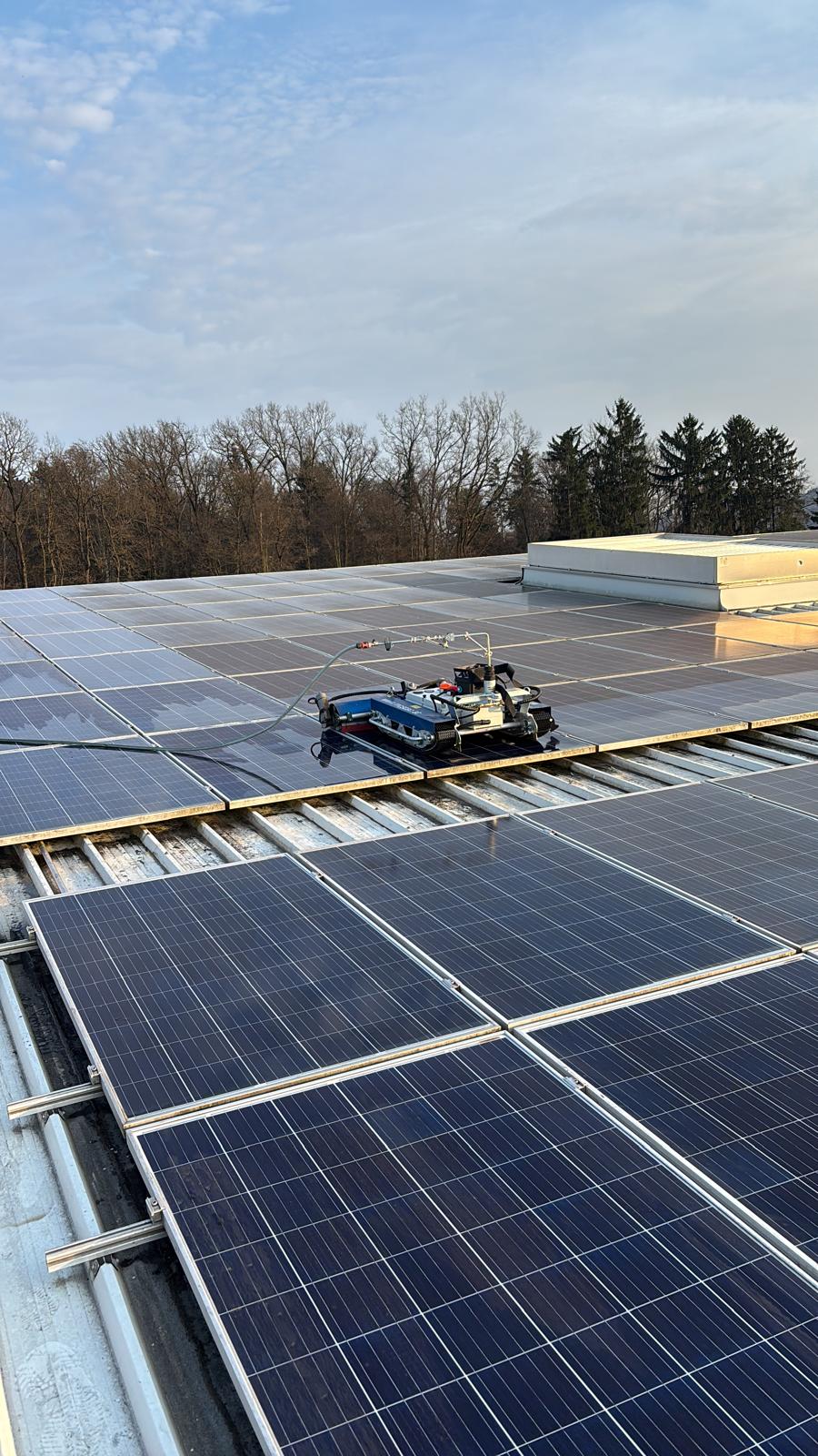 Algenfuchs Referenz – professionelle Reinigung Steiermark