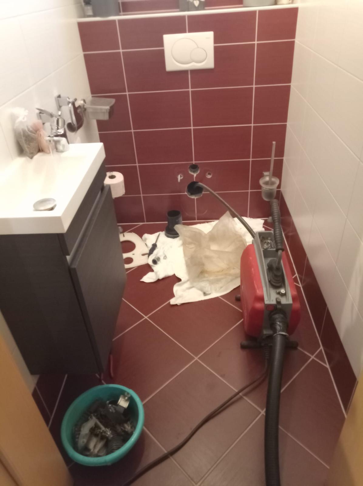 Algenfuchs Referenz – professionelle Reinigung Steiermark