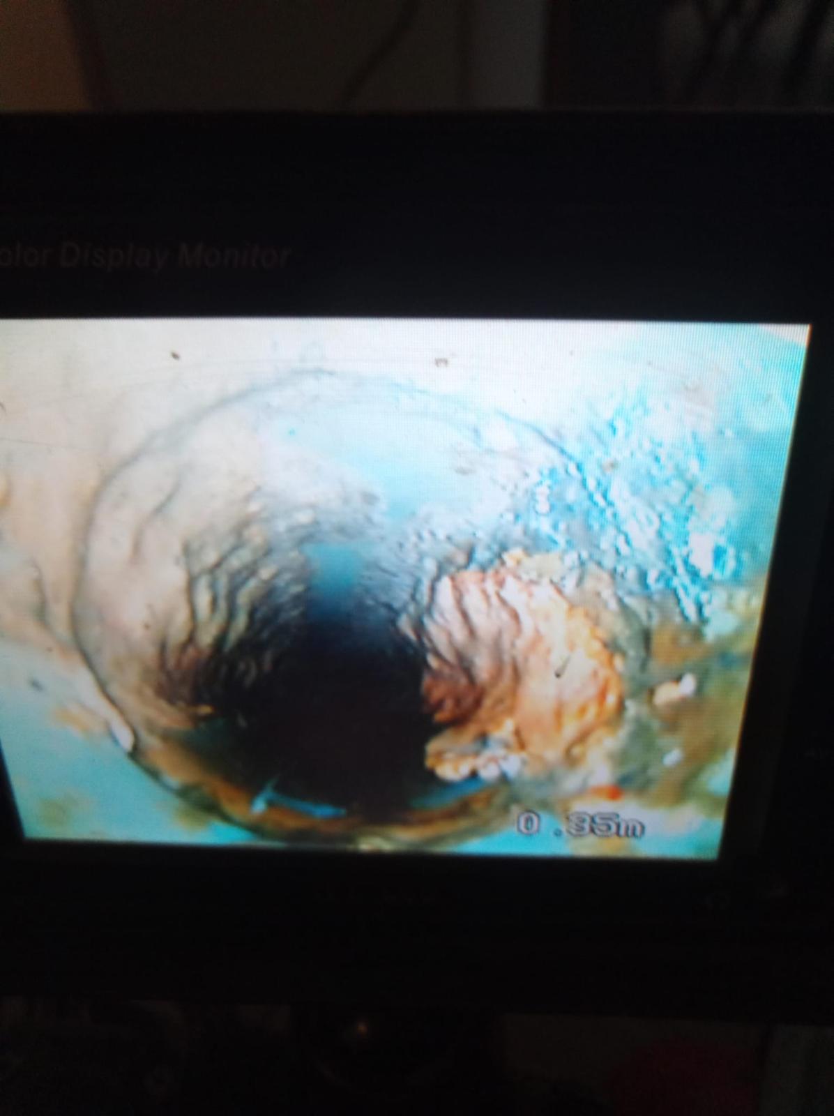 Algenfuchs Referenz – professionelle Reinigung Steiermark