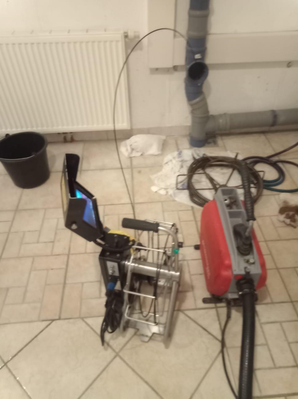 Algenfuchs Referenz – professionelle Reinigung Steiermark