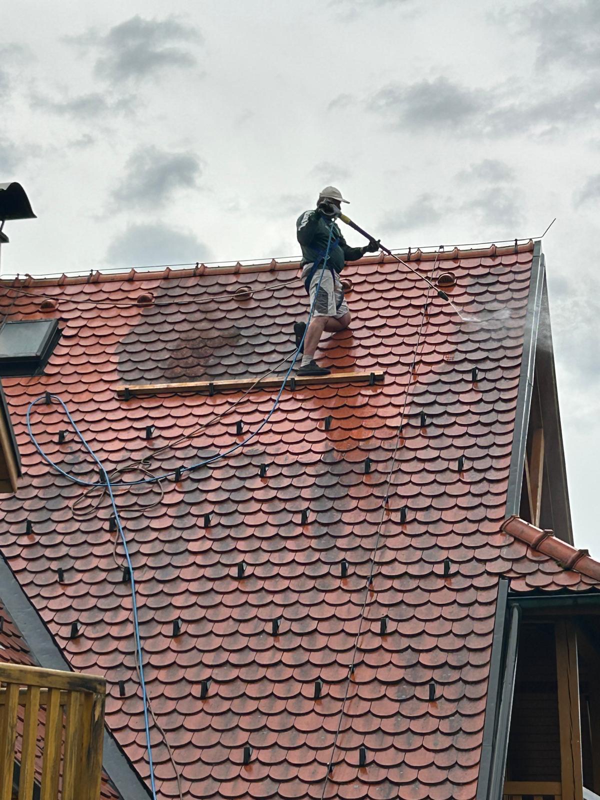 Algenfuchs Referenz – professionelle Reinigung Steiermark