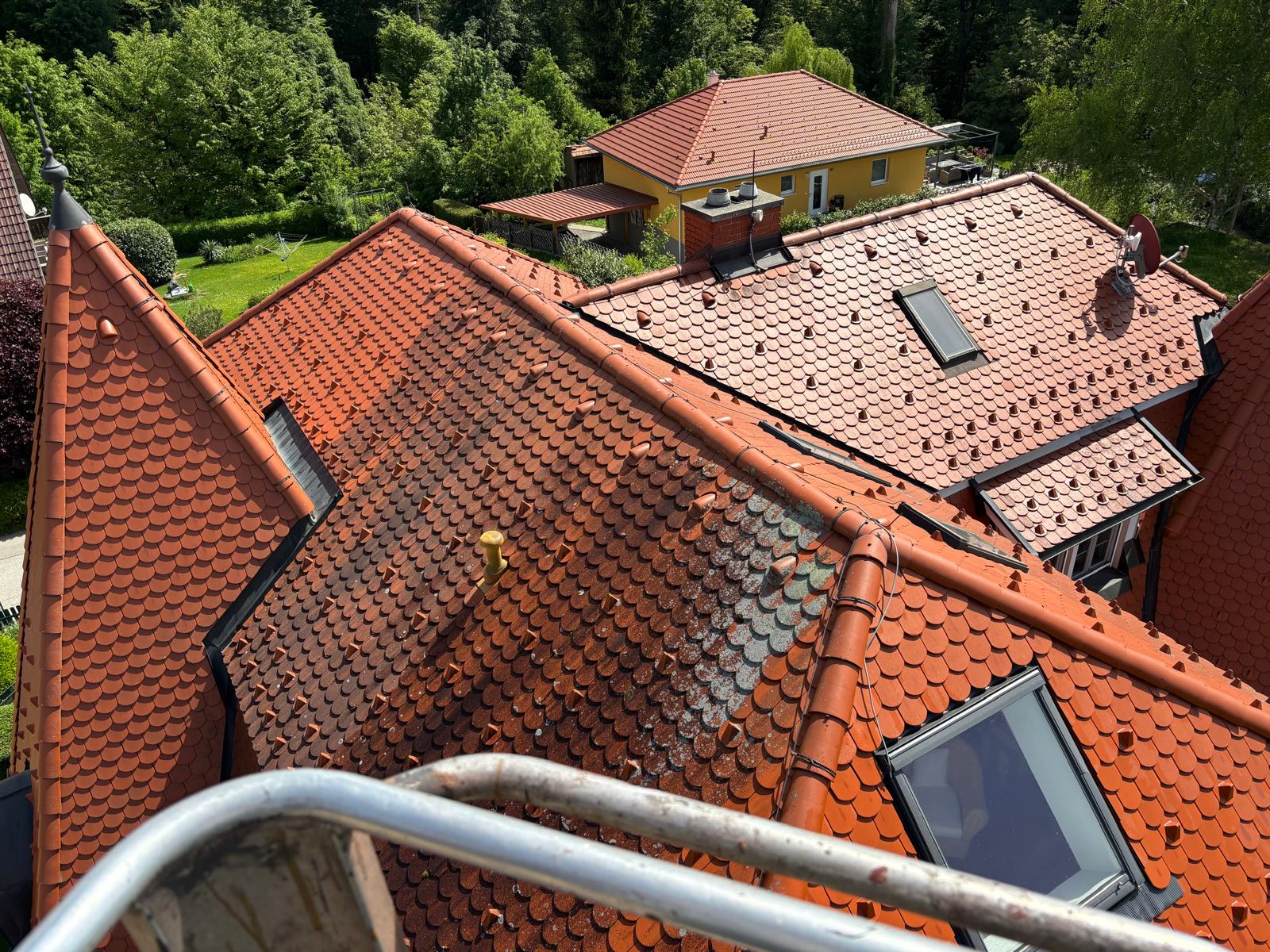 Algenfuchs Referenz – professionelle Reinigung Steiermark