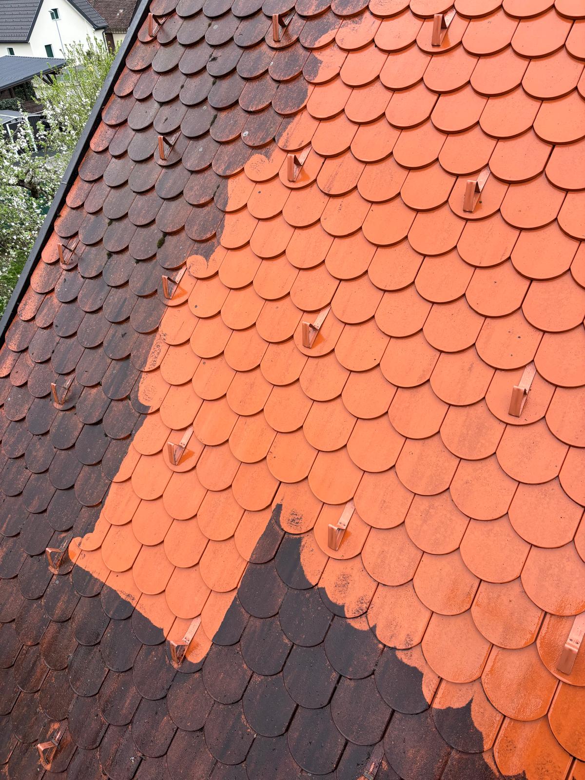 Algenfuchs Referenz – professionelle Reinigung Steiermark